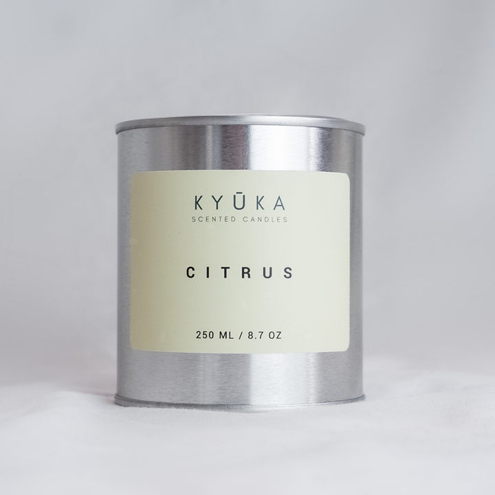 Citrus Paint Pot Candle With Wooden Wick, Travel Candle
