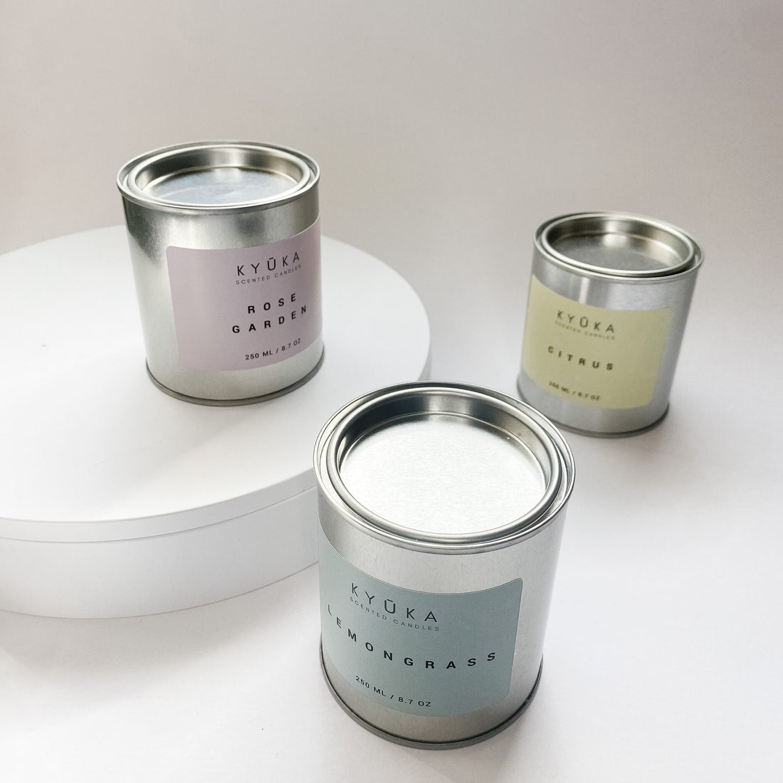 Citrus Paint Pot Candle With Wooden Wick, Travel Candle